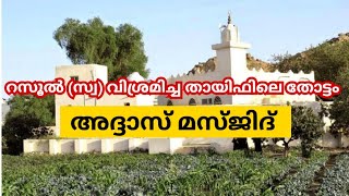 റസൂൽ(സ്വ)വിശ്രമിച്ച തായിഫിലെ തോട്ടം | Masjid Addas | Alkou Mosque | Historical places | Malayalam ||