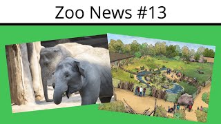 Elefantenherpes im Zoo Zürich und der Masterplan vom Tiergarten Kleve | Zoo News #13