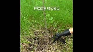 新款免彎腰站立式手動除草鏟拔草起根器園林除草器起根器