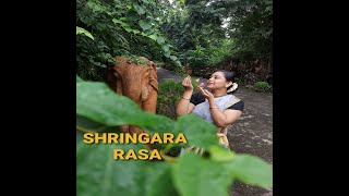 NAVARASA (1. Shringara Rasa)