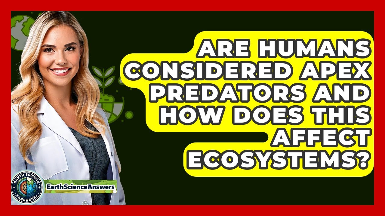 Our Place In The Food Chain Are Humans Apex Predators
