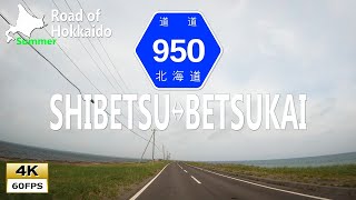 最果ての水面の向こうに細長く続く道 北海道道950号野付風蓮公園線  標津町↔別海町（上下線) Driving in Hokkaido Prefectural Road 950 [4K]