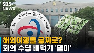 해외여행을 공짜로?…선관위 회의 수당 빼먹기 '덜미' / SBS