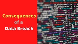 Data Breach 13: What Are The Consequences Of A Data Breach?