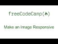 Responsive Web Design Principles - Make an Image Responsive - Free Code Camp