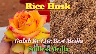 Rose plants! All Plants! Best Media Rice Husk! Ek Bar Laga Kar Dekhen Apne Plants Ko Rice Husk Me...