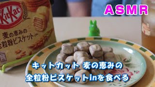 【咀嚼音/ASMR】キットカット 麦の恵みの全粒粉ビスケットinを食べる【Eating Sounds】