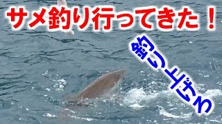 【奄美】凶暴なサメを釣り上げろ！【大島軍】