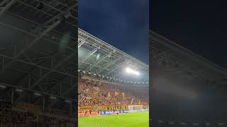 Dynamo Dresden | K-BLOCK Fangesang - Wir singen schwarz gelb SGD 🖤💛 #dynamo #shorts #dynamodresden