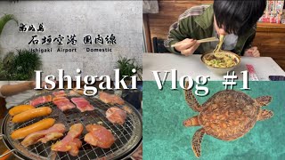 【vlog】2泊3日石垣島旅行1日目✈️  1月の石垣島ってこんな感じ！まさかのウミガメ🐢と遭遇でテンションMAX‼︎【石垣島】