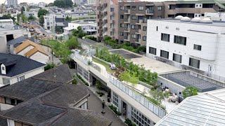 線路跡地に新たな街　「下北線路街」全面開業