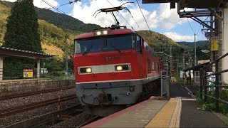 JR貨物 3096レ EF510-2 新疋田通過