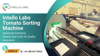 Intello Labs Tomato Sorting Machine: Advanced Sorting by Defects and Color for Quality Assurance