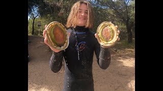 Diving Surfcoast- 4 Giant Greenlip Abalone