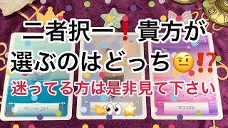 二者択一❗️貴方が選ぶのはどっち🤨⁉️迷っている方は是非😉✨迷ってない方は想像で楽しんでください😊✨✨✨