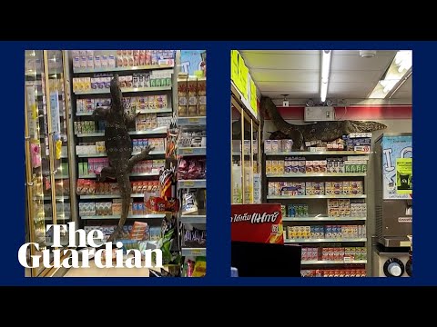 Giant Lizard Climbs Shelves Of Thai Supermarket In Search Of Food