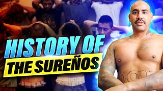 Inside SUR13: Uncovering Shocking Truths about Sureños