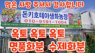 돈키호테야생화에서 만나는 #옥토화분 재입고 많은 사랑 주셔서 감사합니다