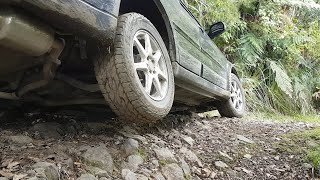 Northland Forests, Puketi to Takahue