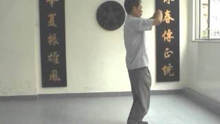 詠春吳華森香港 Wing Chun Grand Master Ng Wah Sum Biu Chee