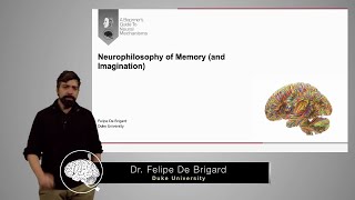 What is memory? | Dr. Felipe De Brigard (Part 1 of 3)