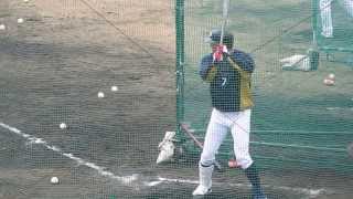 バッティング練習をする糸井嘉男選手（#7）。オリックス春季キャンプ2014