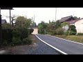 庭にいた野うさぎ2@茨城県城里町