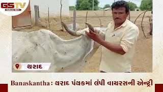 Banaskantha : થરાદ પંથકમાં લંપી વાયરસની એન્ટ્રી | Gstv Gujarati  News