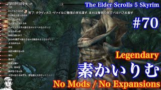 素かいりむ (Skyrim : No Mods / No Expansions) Legendary #70