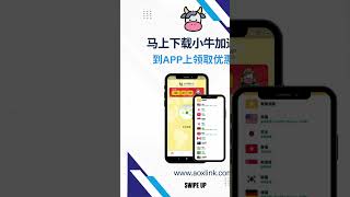 小牛加速器 best VPN