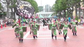 多摩っこさん　 たまよさこい2014