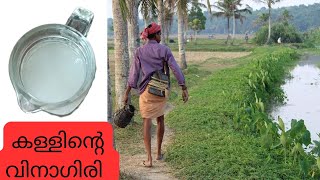 കള്ളുകൊണ്ടൊരു വിനാഗിരി Toddy vinegar #kerala natural vinegar subscribe and support