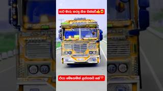 පාට මාරු කරපු හීන සිත්තරී❤️👍 #automobile #1millon #trending #bus