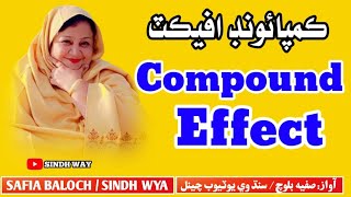 The compound effect||SINDH  WAY