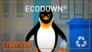 Ecodown | Infographic Video | Thermore