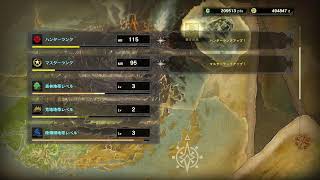 【Steam版MHW:IB参加型】フリクエ消化がんばります！！