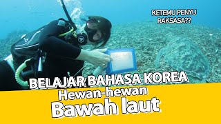 BELAJAR BAHASA KOREA hewan-hewan bawah Laut