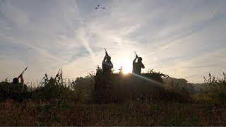 RUGGED PURSUIT | Goose Hunting early season Michigan  2022