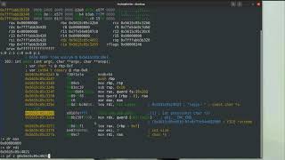 Radare2 Series 0x3 - Debugging Part 1 Runtime Analysis and Binary Patching