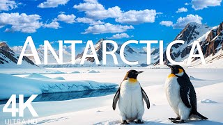 Antarctica 4K UHD – Exploring the Frozen Wilderness of the Last Untouched Continent