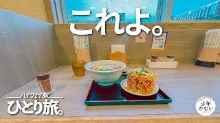 サービスエリアで美味いのみつけた!!の大食いひとり旅。【ふらっとハイウェイめしツアー】高速道路グルメ