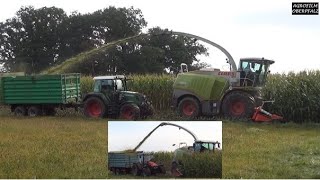 Auch bei kleineren Gespannen ganz groß - LU Ruhland - Claas Jaguar 950 - Maisernte 2020