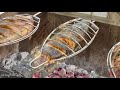 Vietnamese Street Food  - Grilled RED TILAPIA and Snakehead Fish - MN Food Travel