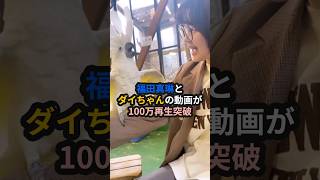 福田真琳ちゃんとダイちゃんの動画が100万再生突破 #ハロプロ #つばきファクトリー  #福田真琳 #稲場愛香 #まなかん #タイハクオウム #長崎バイオパーク #ダイちゃん #shorts