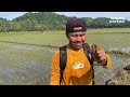 5 hari berburu bermalam dikapal dapat banyak durian digunung saat musim hujan u0026 banjir kookiko