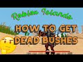 How to Get Dead Bushes in Roblox islands | FunZone