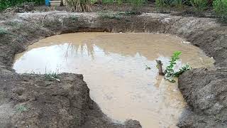 A Chuva Alegra as Plantas e o Agricultor