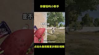 你害怕吗小新手？#搞笑 #游戏 #PUBG