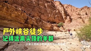 环球旅行994天-我想吃烤羊，羊却在山上踢石头想砸我，太可怕了