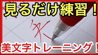 【見るだけ練習】ボールペン漢字練習動画